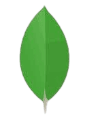 MongoDB